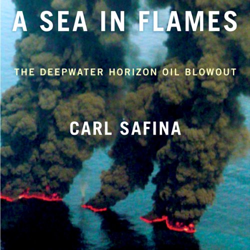 Cover of A Sea in Flames