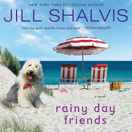 Cover of Rainy Day Friends