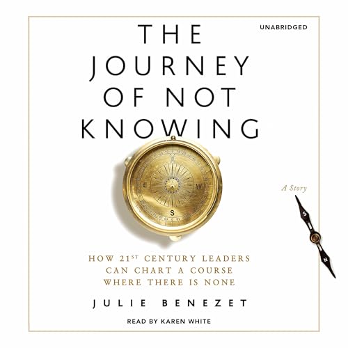 Cover of The Journey of Not Knowing