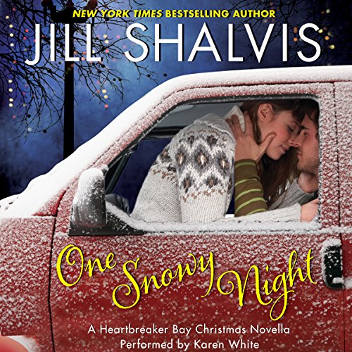 Cover of One Snowy Night