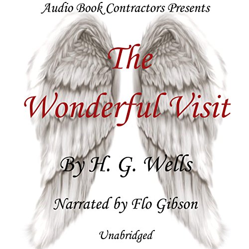Cover of The Wonderful Visit