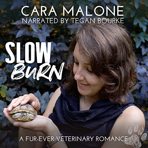 Cover of Slow Burn