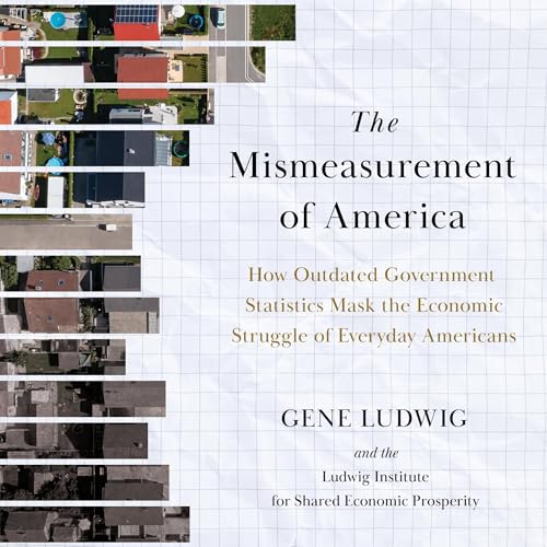 Cover of Mismeasurement of America