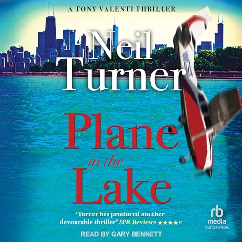 Cover of Plane in the Lake