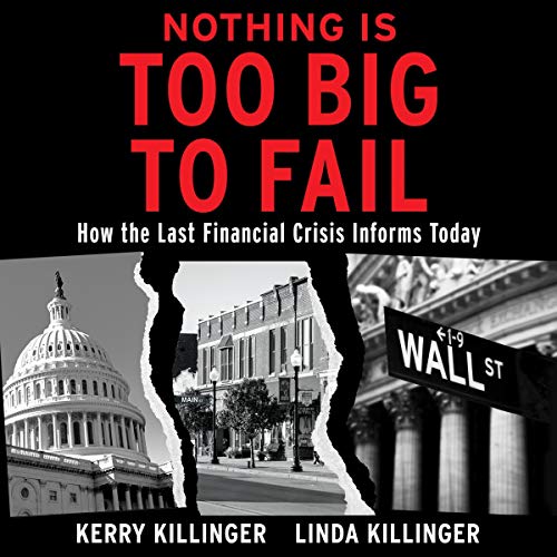 Cover of Nothing Is Too Big to Fail
