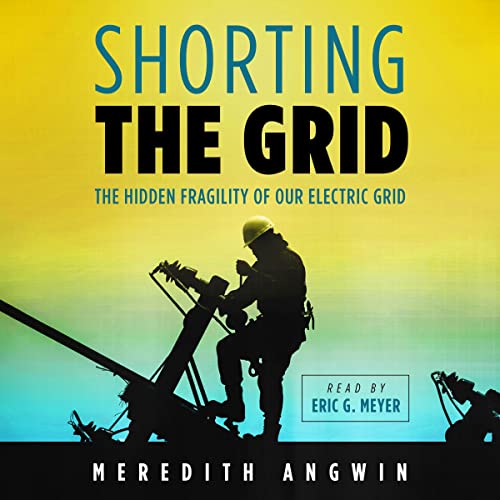 Cover of Shorting the Grid