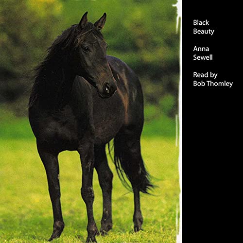 Cover of Black Beauty