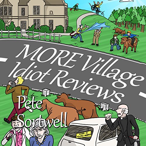 Cover of More Village Idiot Reviews