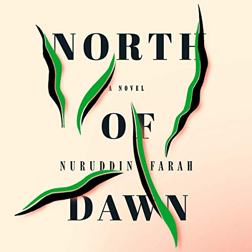 Cover of North of Dawn