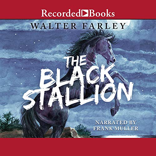 Cover of The Black Stallion