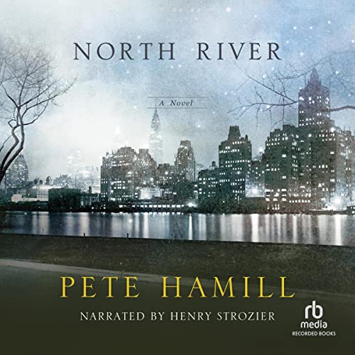 Cover of North River