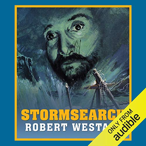 Cover of Stormsearch