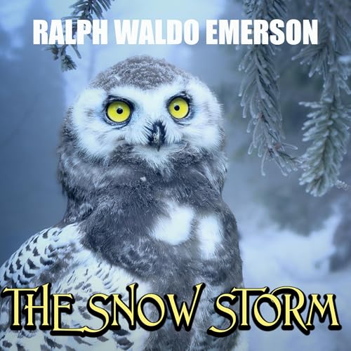 Cover of The Snow Storm