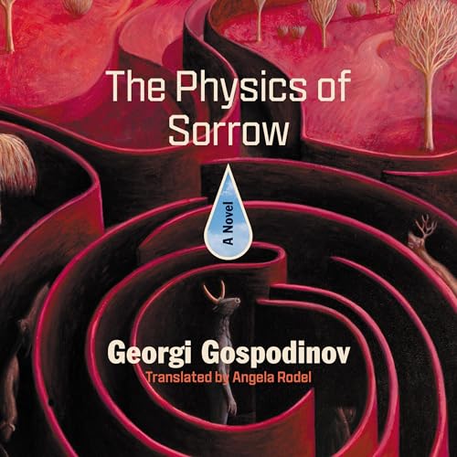 Cover of The Physics of Sorrow