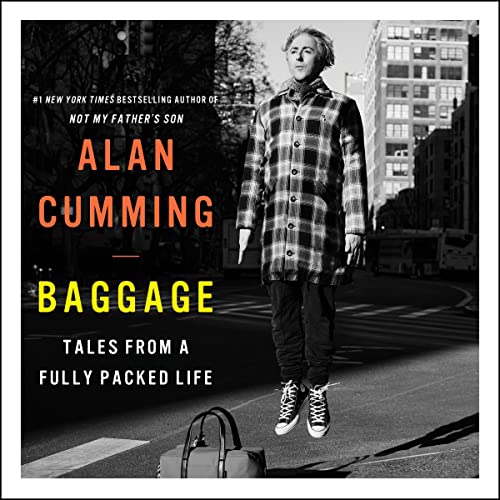 Cover of Baggage