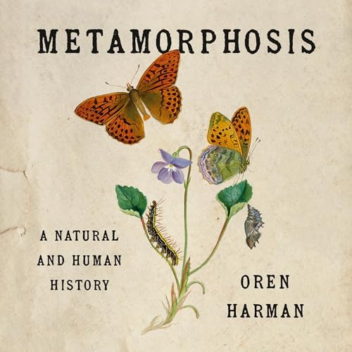 Cover of Metamorphosis