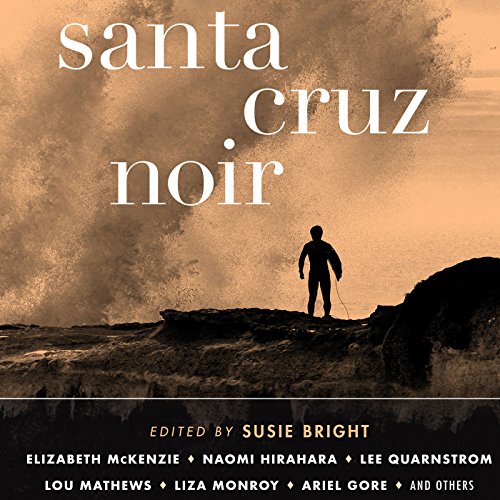 Cover of Santa Cruz Noir
