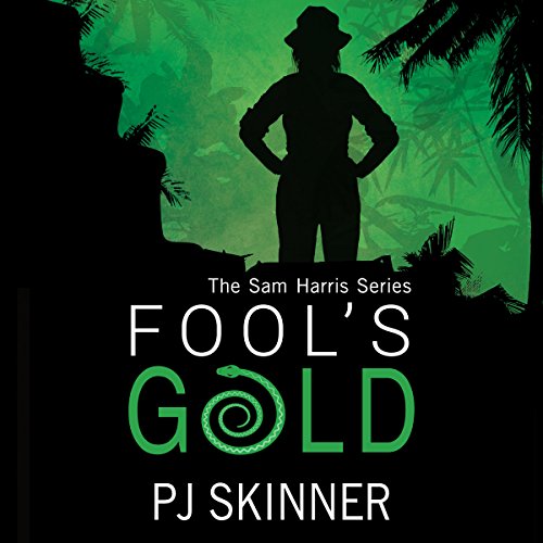 Cover of Fool's Gold