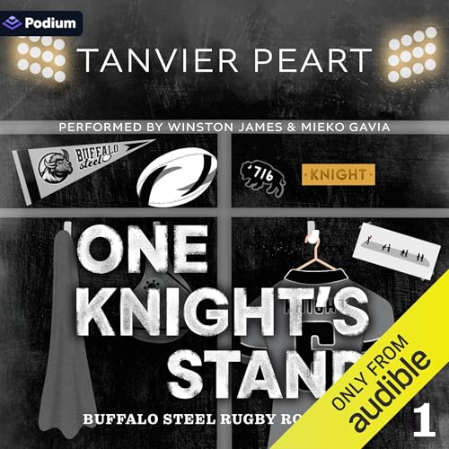 Cover of One Knight's Stand
