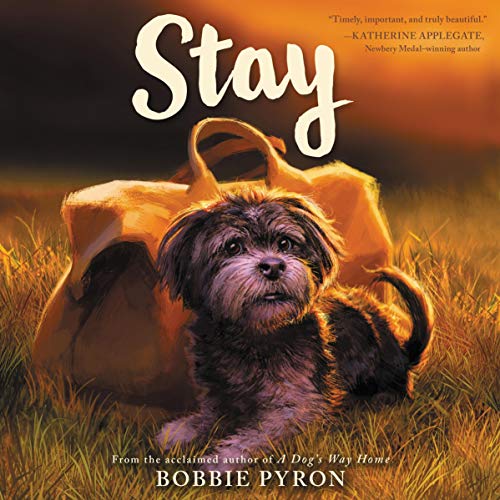 Cover of Stay