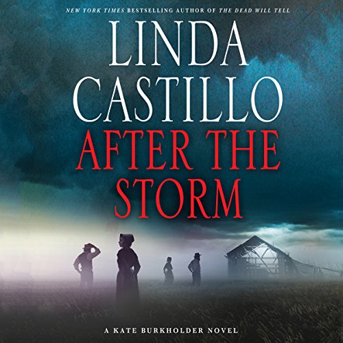 Cover of After the Storm