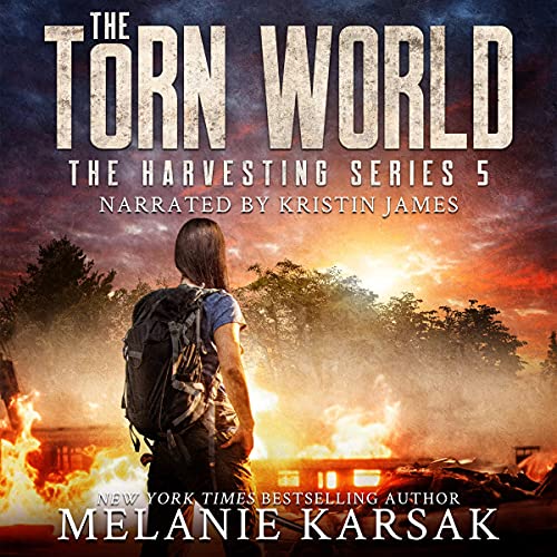 Cover of The Torn World