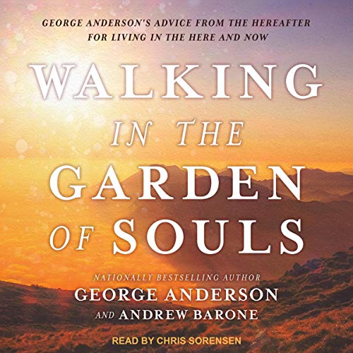 Cover of Walking in the Garden of Souls