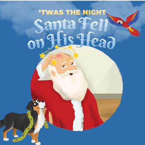 Cover of 'Twas the Night Santa Fell on His Head