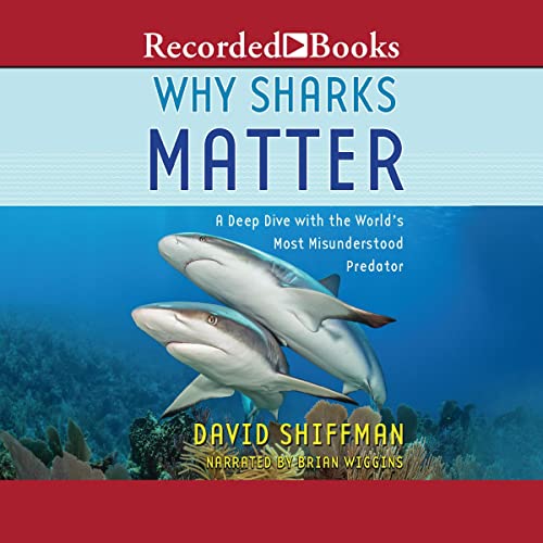 Cover of Why Sharks Matter