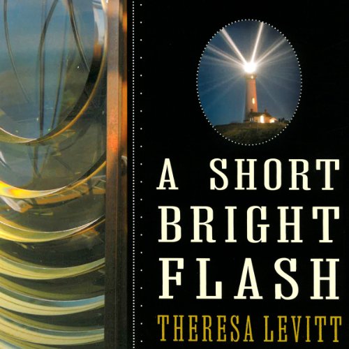 Cover of A Short Bright Flash