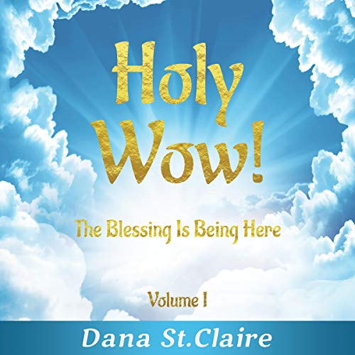 Cover of Holy Wow!