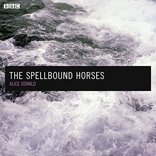 Cover of The Spellbound Horses