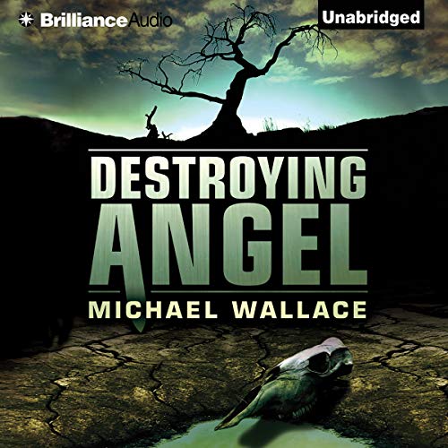 Cover of Destroying Angel