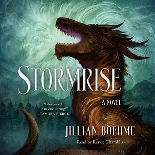Cover of Stormrise