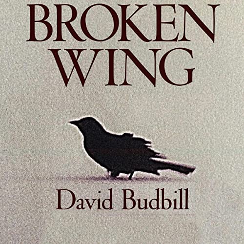 Cover of Broken Wing