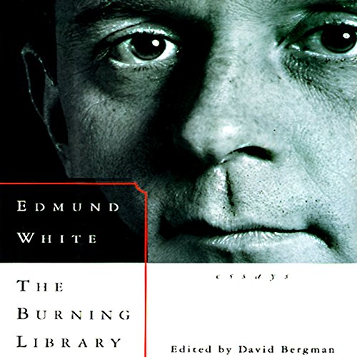 Cover of The Burning Library