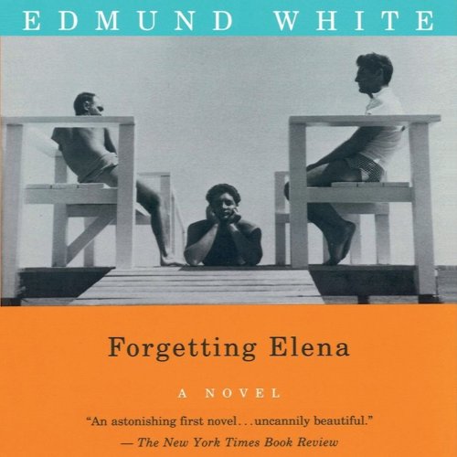 Cover of Forgetting Elena