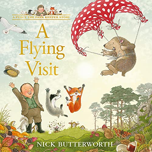Cover of A Flying Visit