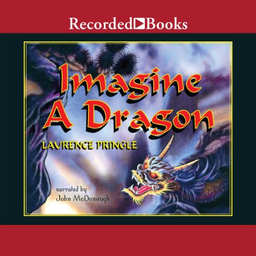 Cover of Imagine a Dragon