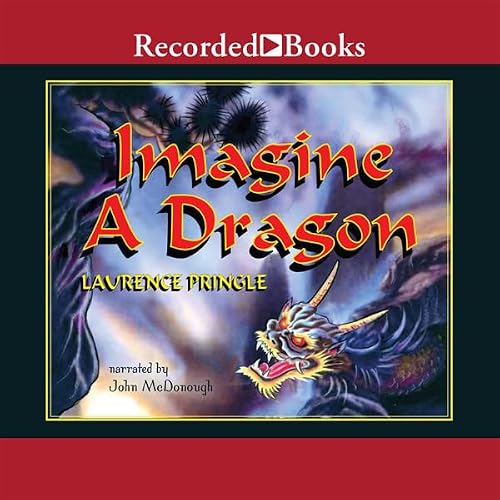 Cover of Imagine a Dragon