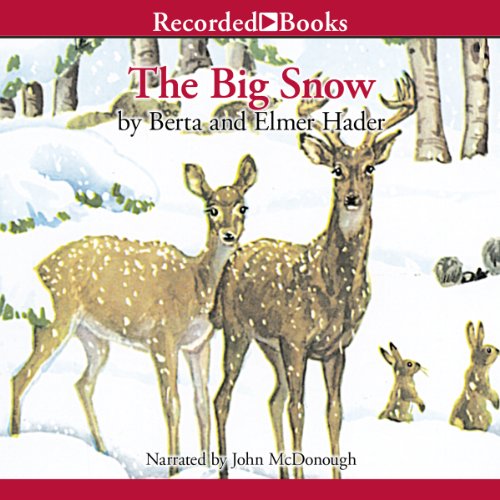 Cover of The Big Snow
