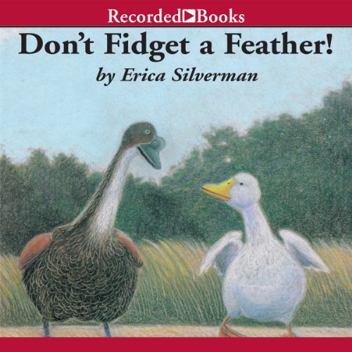 Cover of Don’t Fidget a Feather