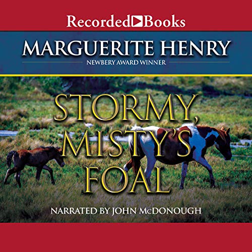 Cover of Stormy, Misty's Foal