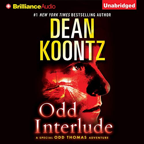 Cover of Odd Interlude