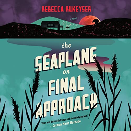 Cover of The Seaplane on Final Approach