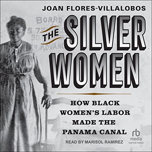 Cover of The Silver Women