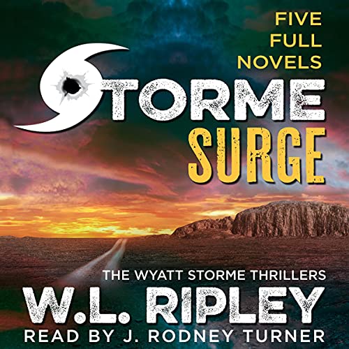 Cover of Storme Surge