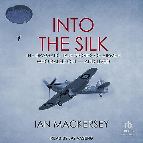 Cover of Into the Silk
