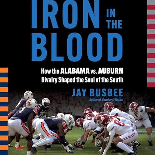 Cover of Iron in the Blood