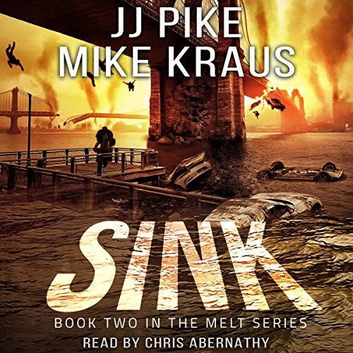 Cover of Sink